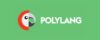 Polylang pro